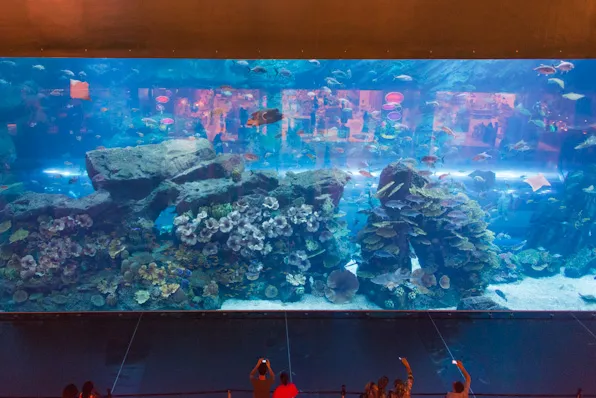 The biggest shopping mall in the world featured a petite fish tank.
