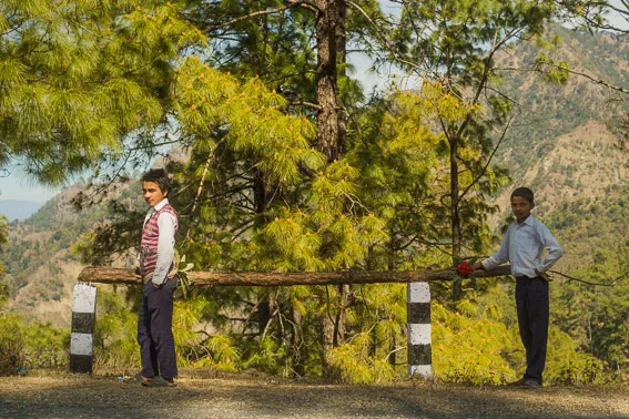 Koululaiset puunhakureissulla